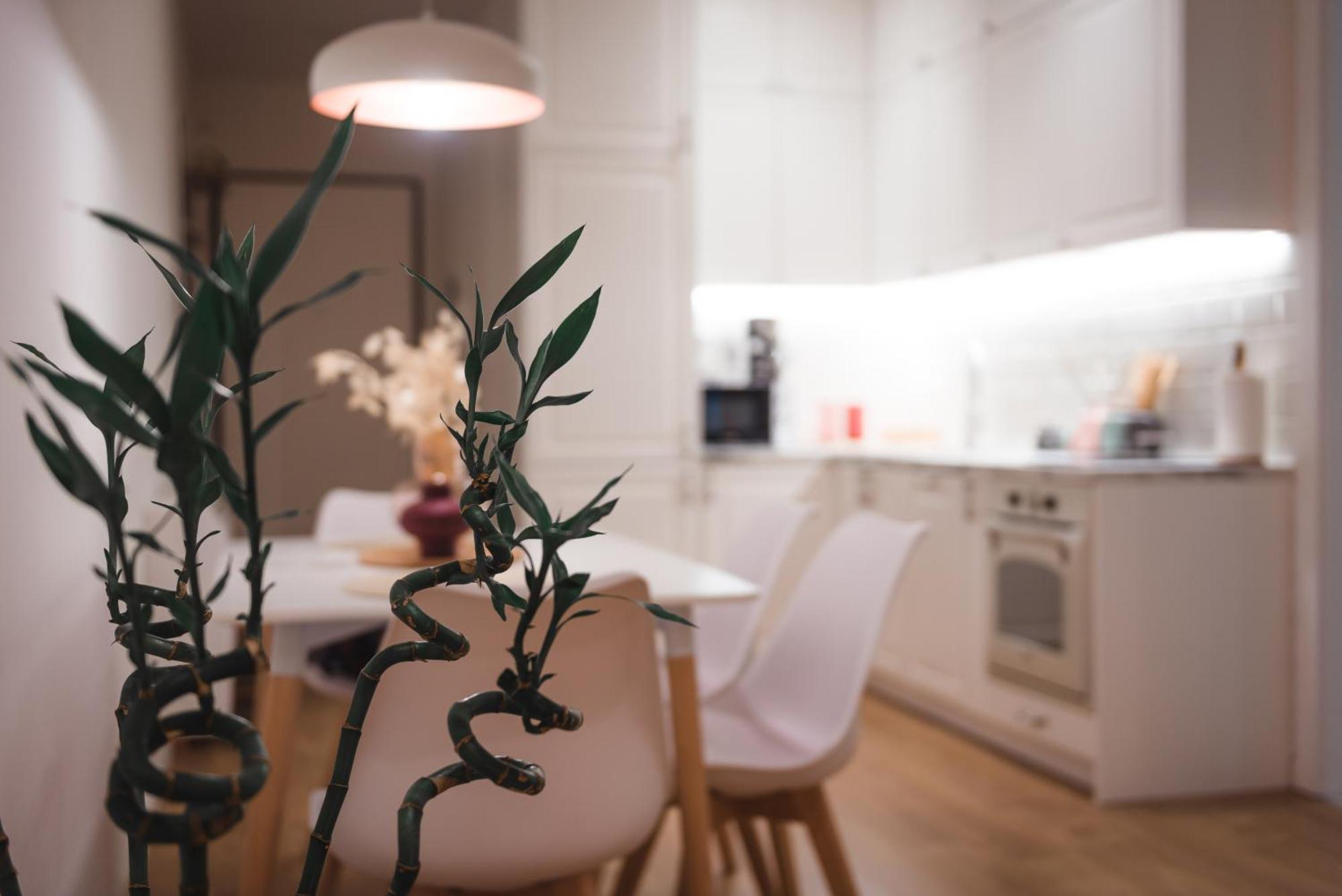 Tam Skanderbeg Square Serviced City Center Apartment No1 Tiranë Ngoại thất bức ảnh